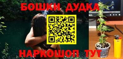 шишки Будённовск