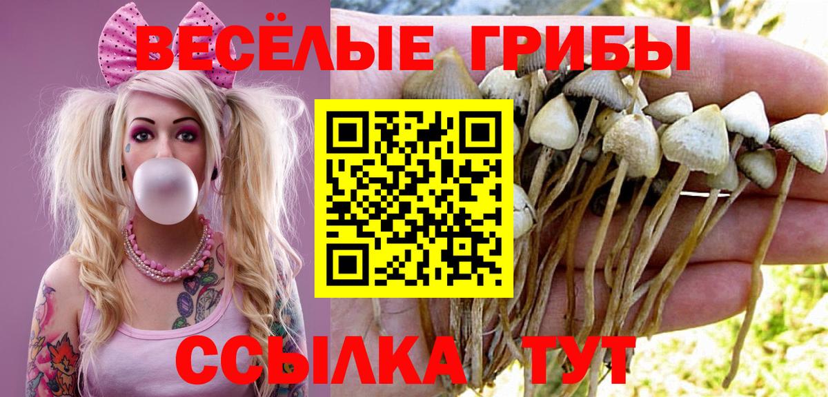 Псилоцибиновые грибы мухоморы  Вход с VPN  Нововоронеж 